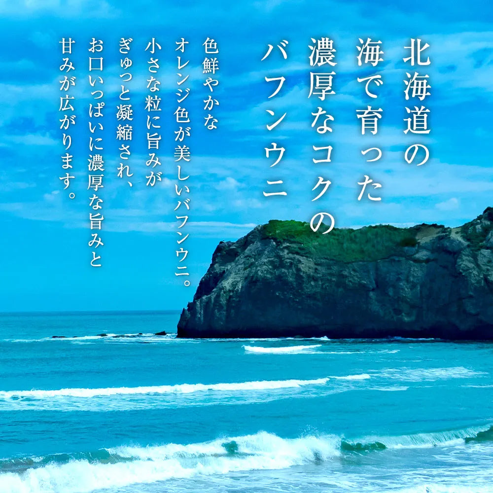 幸雲丹 80g(北海道産ムラサキウニ)