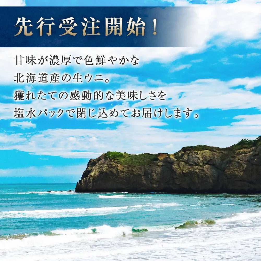 【予約商品】塩水ウニ 200g(北海道産ムラサキウニ100g・バフンウニ100g)
