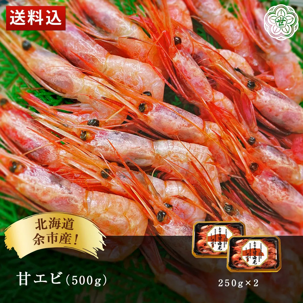 北海道余市産！甘エビ 500g