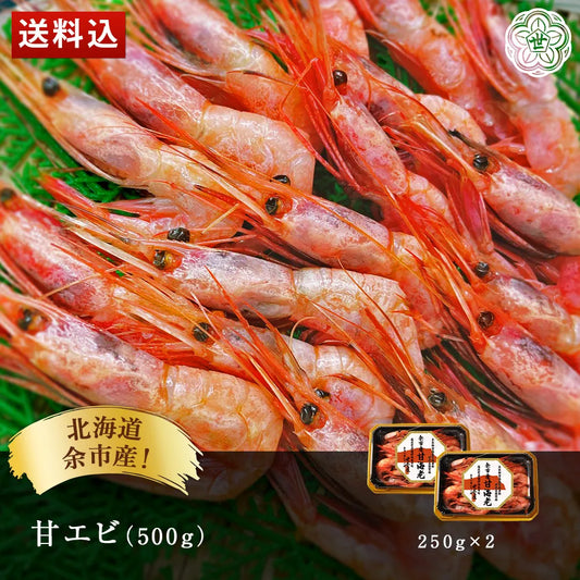 北海道余市産！甘エビ 500g