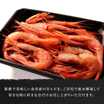 北海道余市産！甘エビ 1kg
