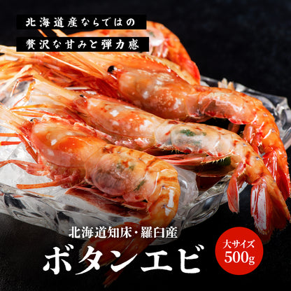 ボタンエビ 大サイズ 500g