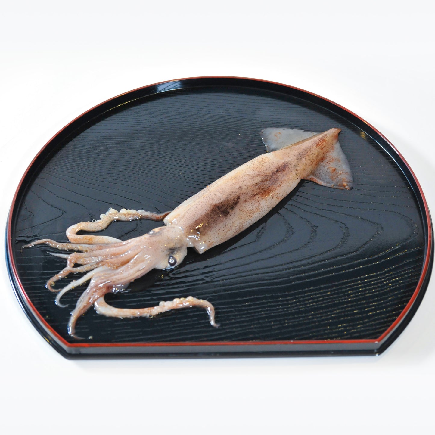 北海道産イカ冷凍 1kg