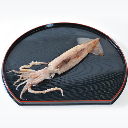 北海道産イカ冷凍 1kg