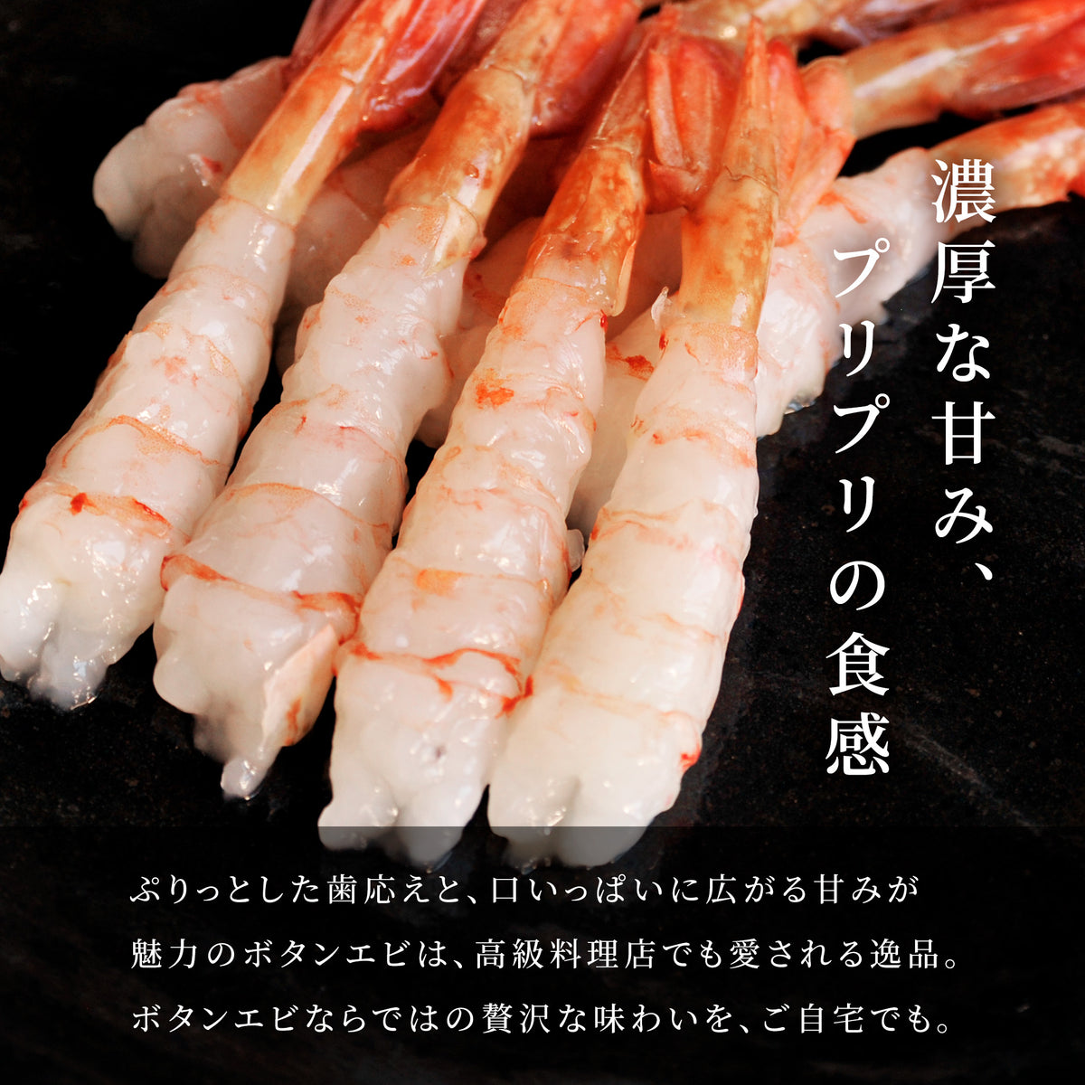 ボタンエビ 大サイズ 500g