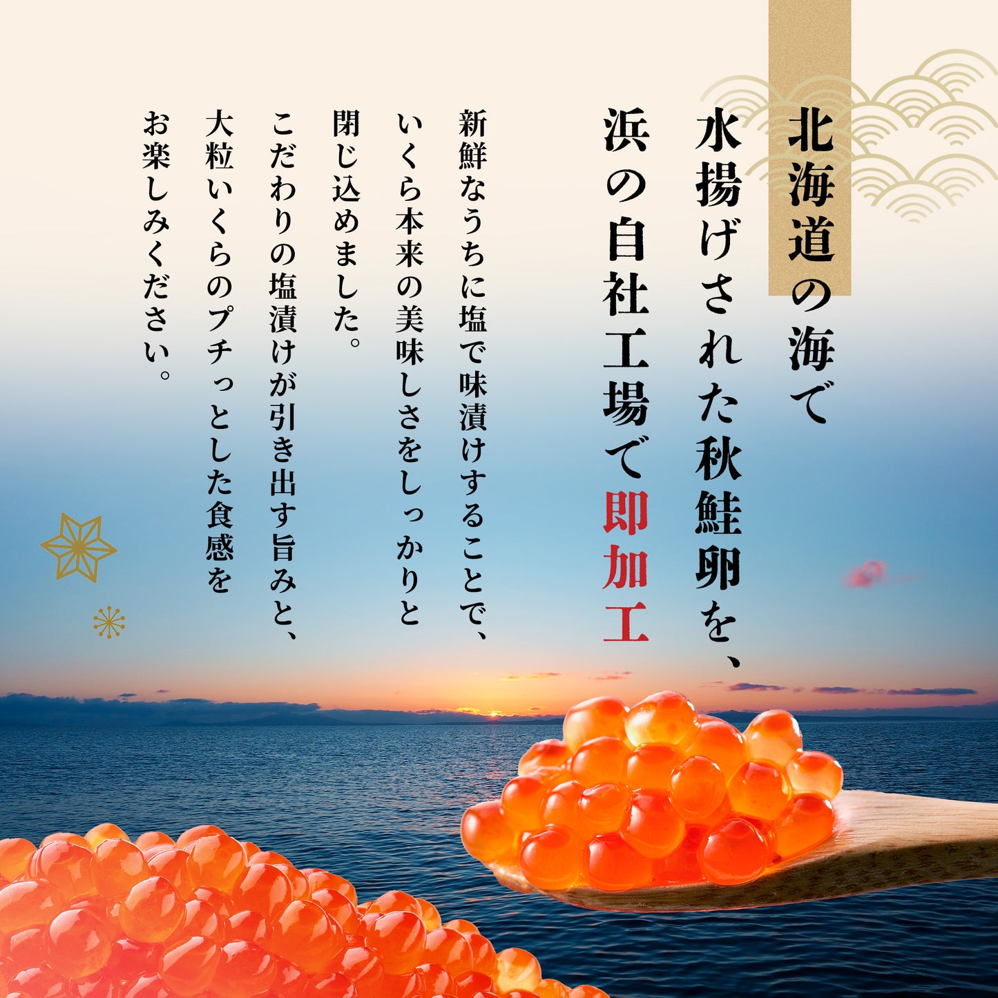 北海道産鮭いくら 塩漬け 200g