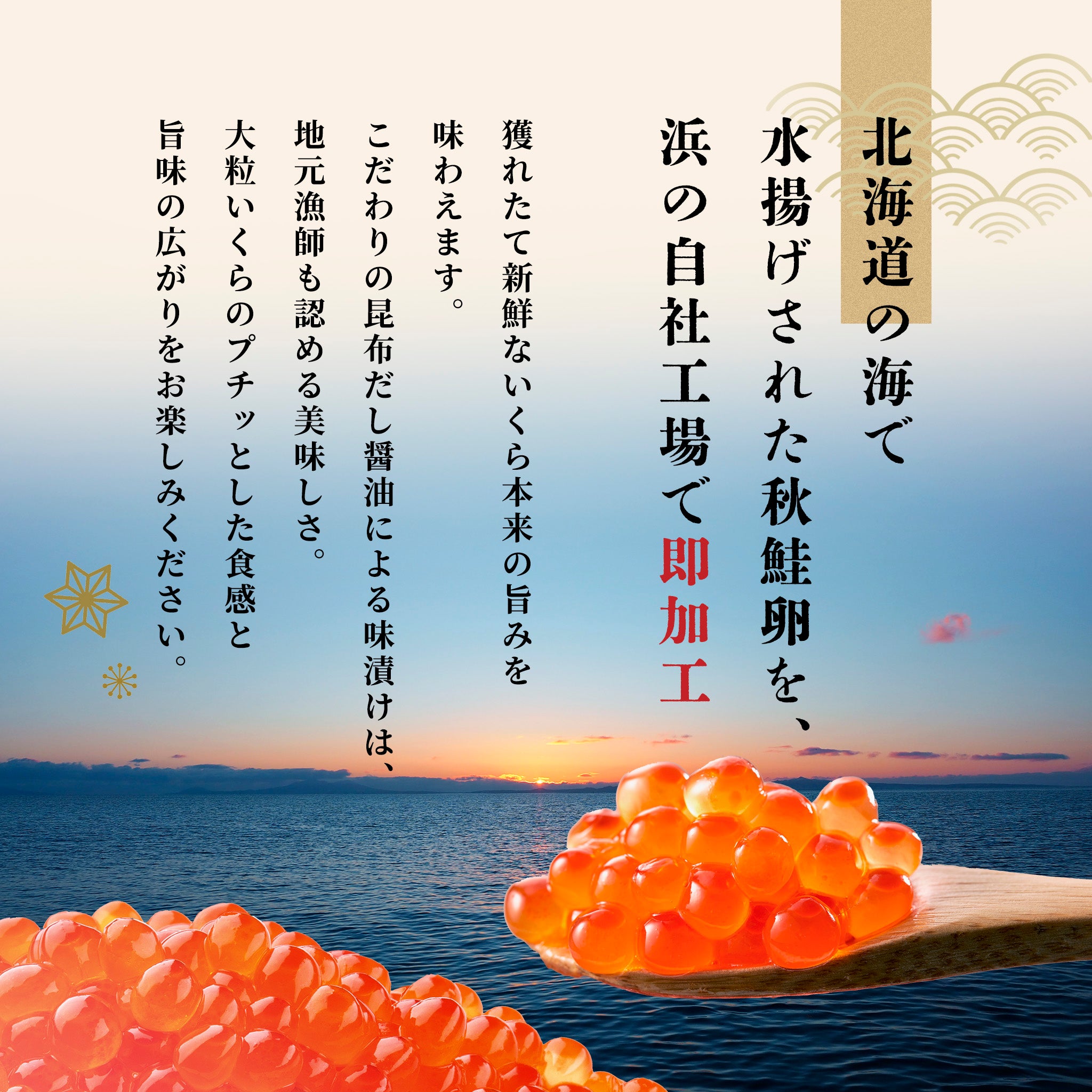 北海道産鮭いくら 醤油漬け 80g – うに専門店 世壱屋
