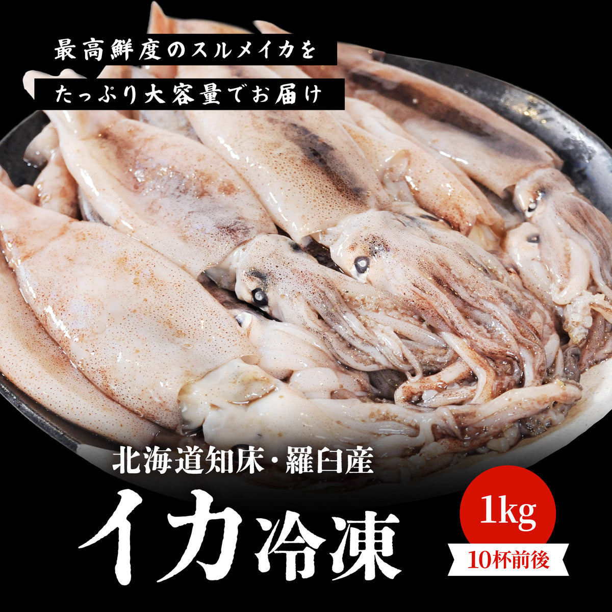 北海道産イカ冷凍 1kg