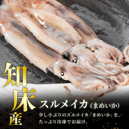 北海道産イカ冷凍 1kg