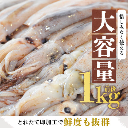 北海道産イカ冷凍 1kg