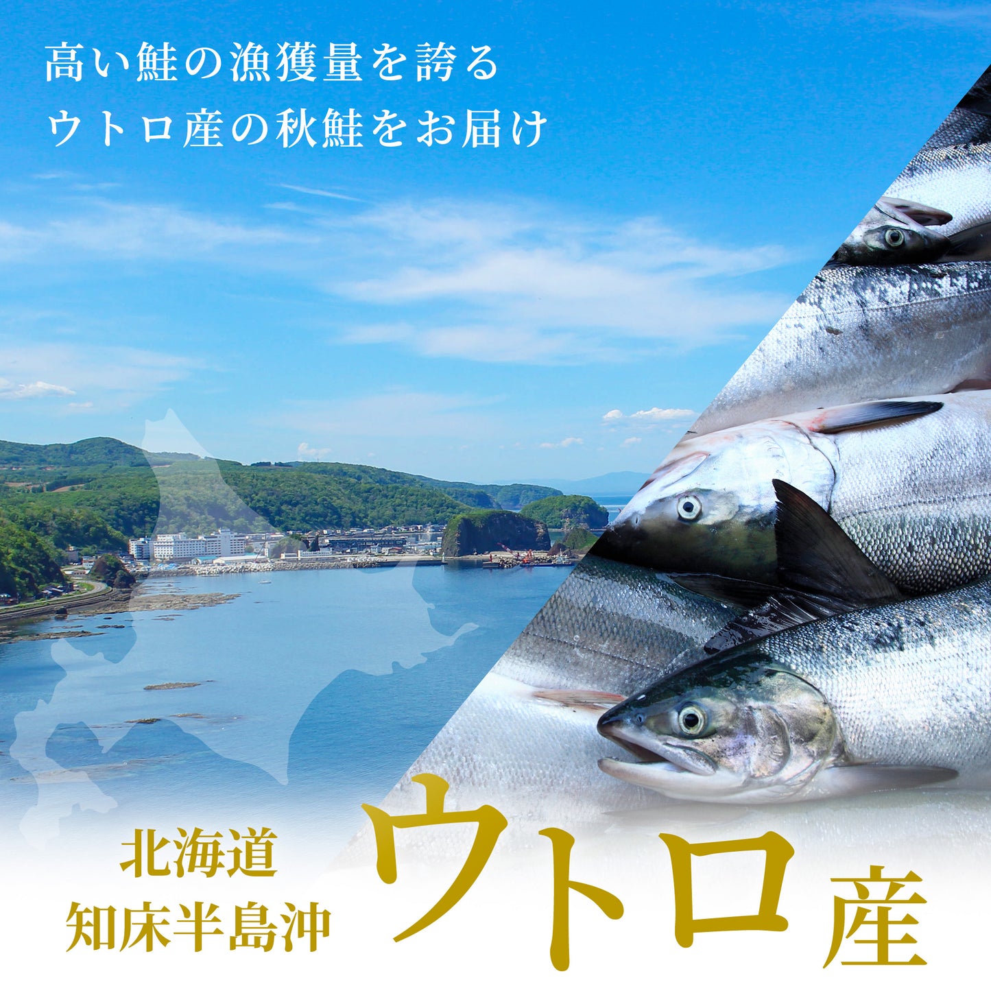 北海道産新巻鮭 2kg